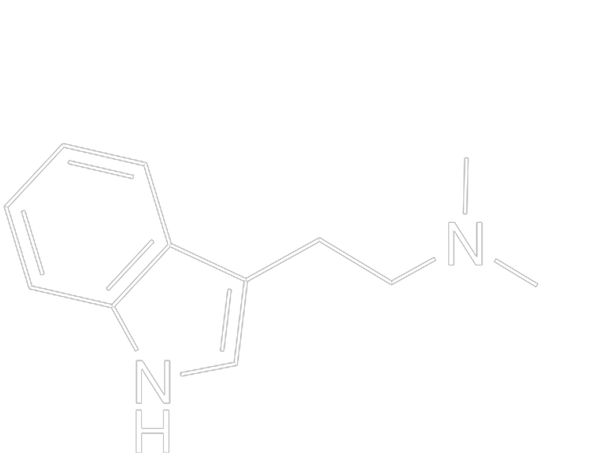 A picture of the Dimethyl-Tryptamine molecule which is produced from the breakdown of Melatonin in the Dark Room