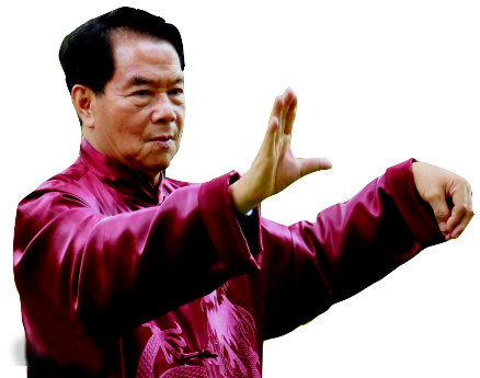 The Taoist symbol for balance and cycles represented as the yin yang